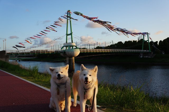 写真っていいな^^_c0257276_19523357.jpg