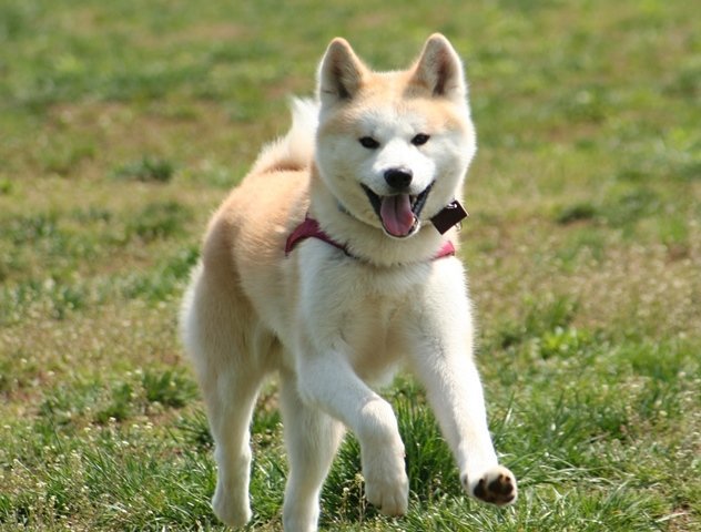 写真っていいな^^_c0257276_19523553.jpg