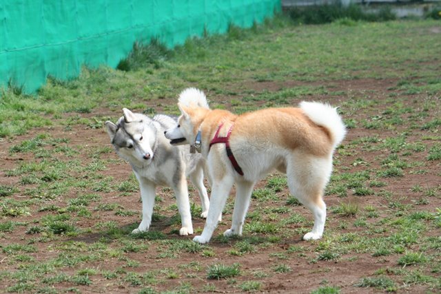 写真っていいな^^_c0257276_19523894.jpg