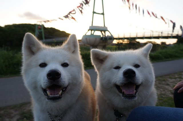 写真っていいな^^_c0257276_20044449.jpg