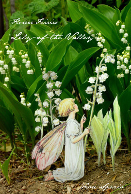 THE LILY-OF-THE-VALLEY FAIRY_a0252678_23570918.jpg