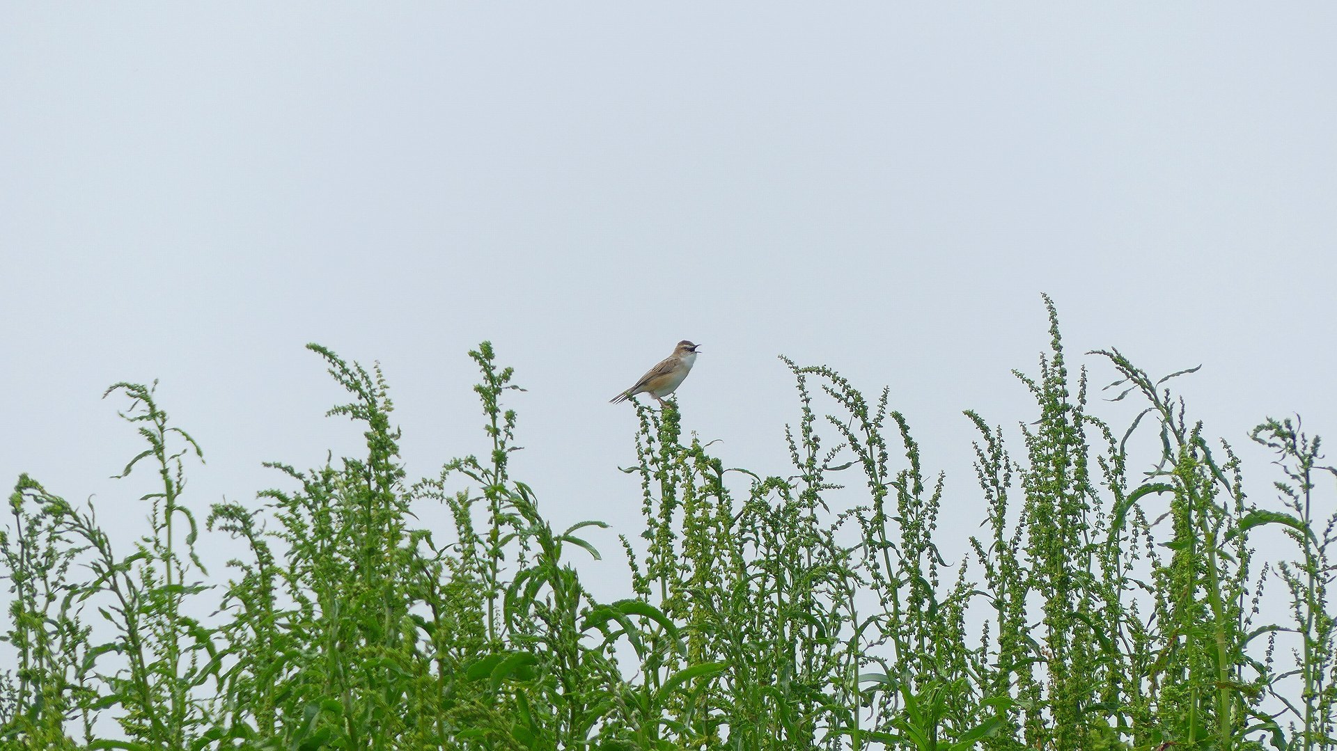 人っ子一人_a0185081_20033172.jpg