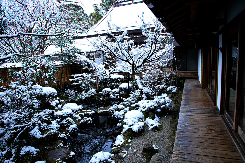 雪景色！　　～大原　宝泉院～_b0128581_20103361.jpg