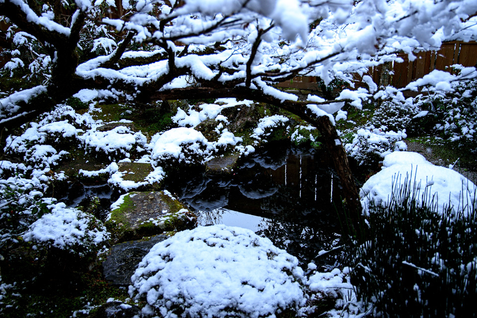 雪景色！　　～大原　宝泉院～_b0128581_20104761.jpg