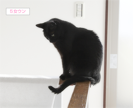 ウンのファンサービス_a0389088_17015596.jpg