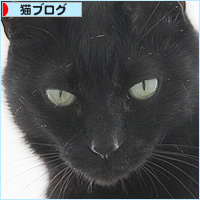 ウンのファンサービス_a0389088_17015677.jpg