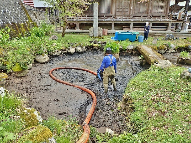 29日には毘沙門堂の「琵琶湖池」で泥上げ作業がありました_c0336902_21403925.jpg