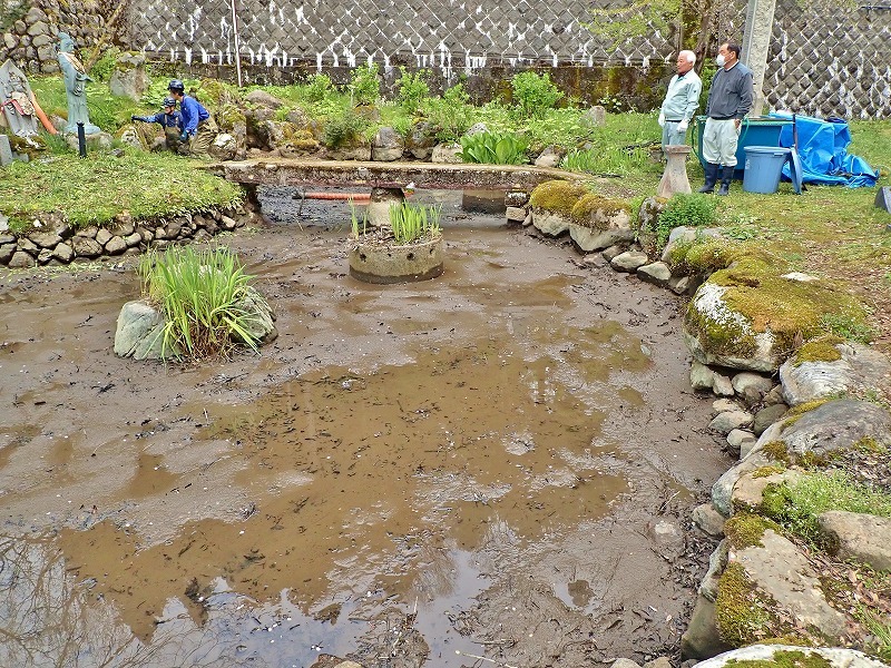 29日には毘沙門堂の「琵琶湖池」で泥上げ作業がありました_c0336902_21410109.jpg