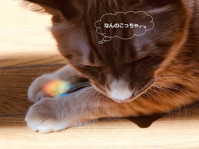 虹をGET!_f0242002_19393737.jpg