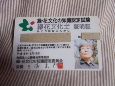 もう一度普賢象。魚沼新緑。緑花文化士。_a0203003_14391551.jpg