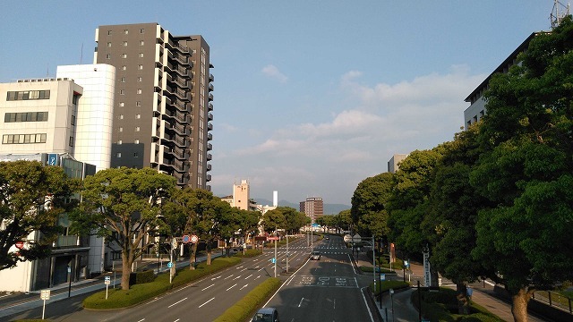 ちょうど10,000歩 駿河台から市役所、吉原本町を回る朝のウォーキング_f0141310_07442546.jpg