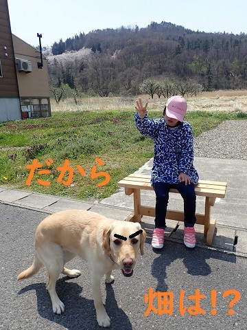 悲喜こもごも_c0182012_09170742.jpg