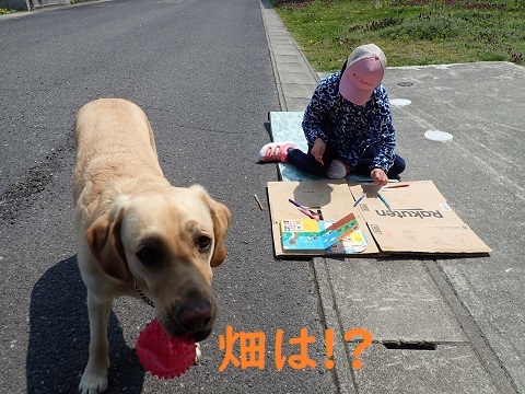悲喜こもごも_c0182012_09171124.jpg