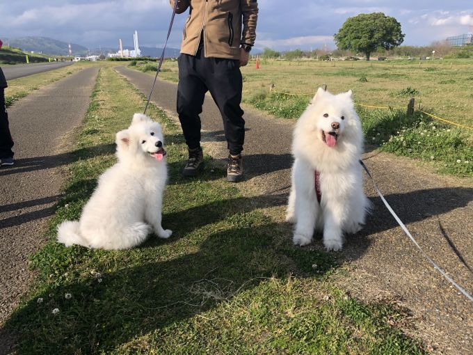 2020年4月後半 インスタ写真集 その2_f0128542_01580293.jpg