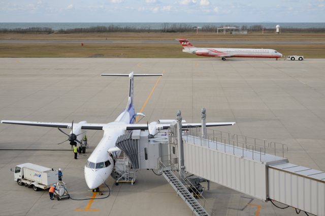 新潟空港で見られた飛行機たち 蜜蜂的写真日記