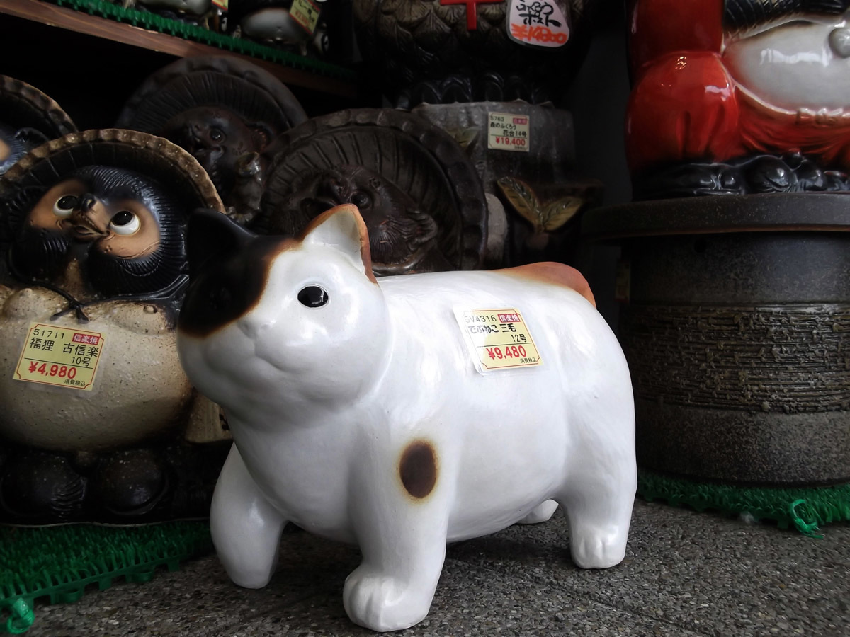 でぶねこ 三毛さん 岳の父ちゃんの Photoblog でぶねこ 三毛さん 岳の父ちゃんの Photoblog