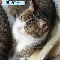 親子だから_a0389088_03424605.jpg