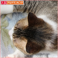 親子だから_a0389088_03424648.jpg