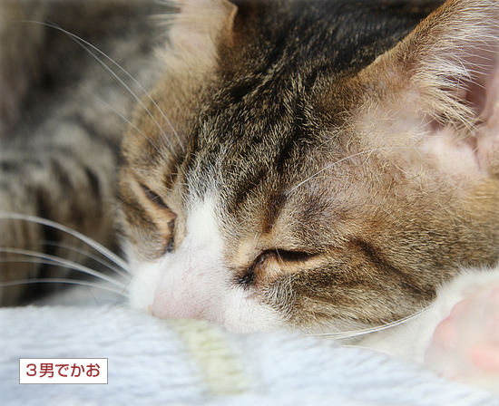 親子だから_a0389088_03424667.jpg