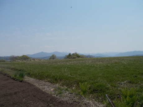 辛夷咲く山_a0203003_15514845.jpg