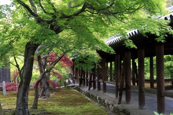 東福寺　法堂‣三門など_e0048413_15574027.jpg