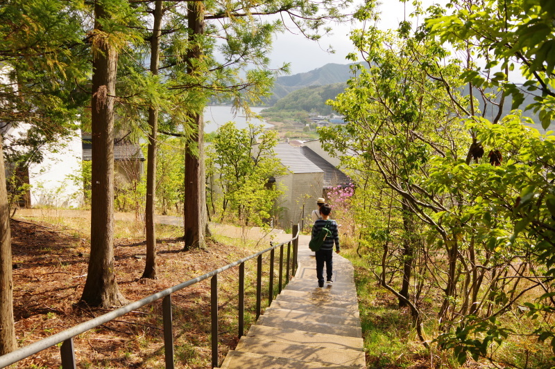 カチカチ山のコロナ_a0165316_23152304.jpg