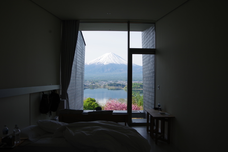 カチカチ山のコロナ_a0165316_23183386.jpg