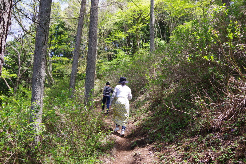 カチカチ山のコロナ_a0165316_23204095.jpg
