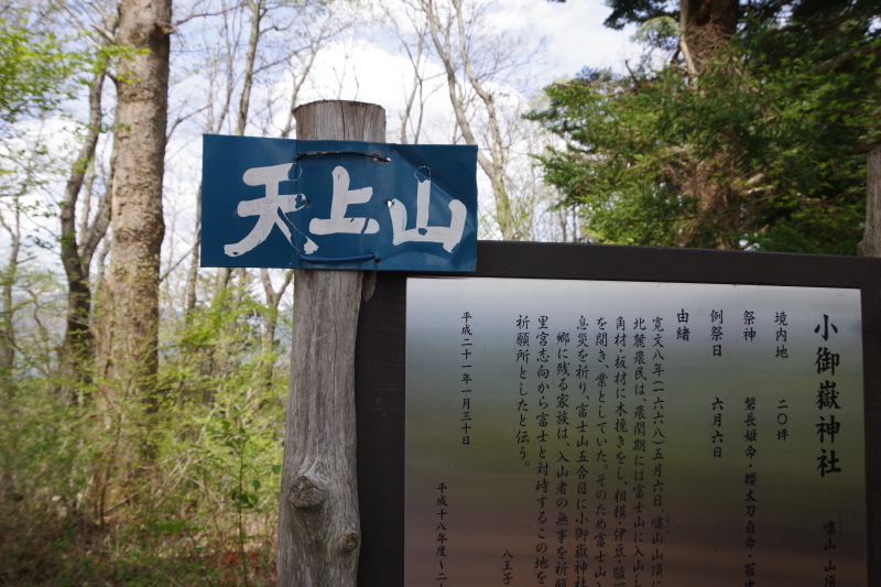 カチカチ山のコロナ_a0165316_23223667.jpg