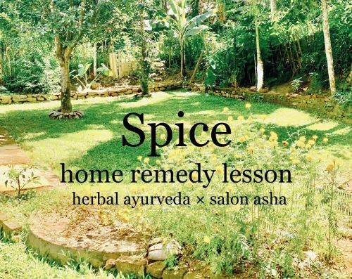 『Spice home remedy 講座』第2回目開催_f0201116_13433932.jpeg
