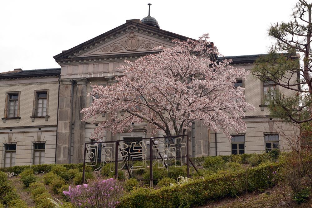 内閣文庫と桜_e0373930_10572774.jpg