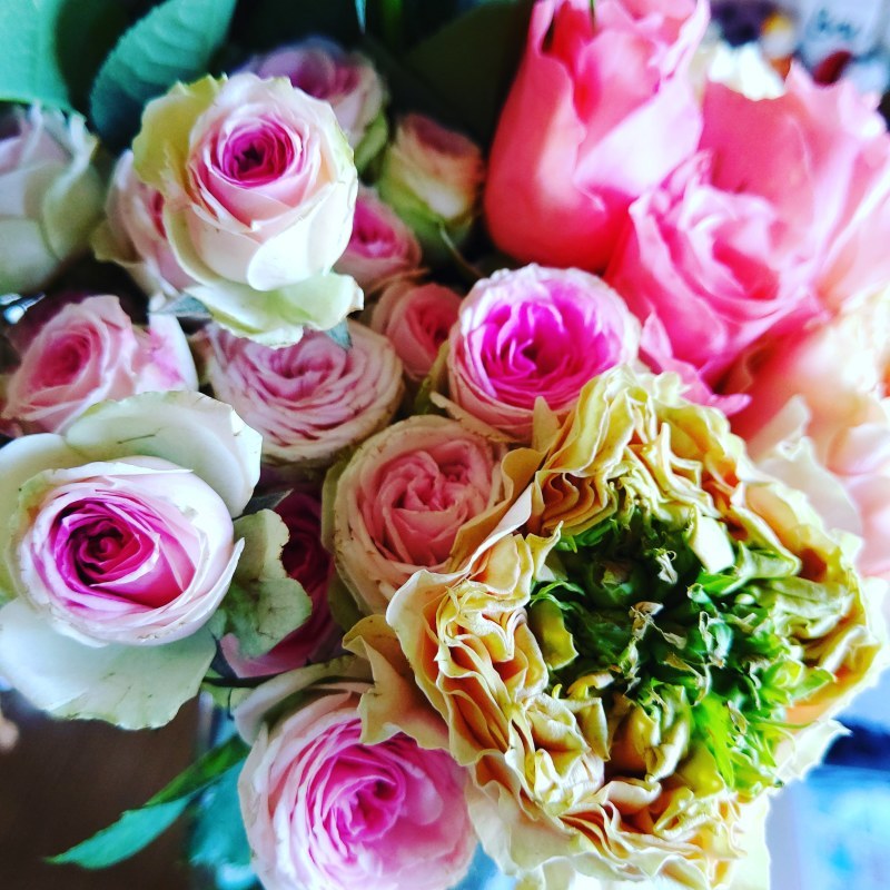 美味しいジェラートとばらの花 Emily Diary 美味しいジェラートとばらの花 Emily Diary