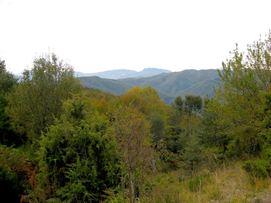 第２４号(1)「90kmの巡礼の旅〜聖なる森林の山道 Il Sentiero delle Foreste Sacre」_f0234936_043561.jpg