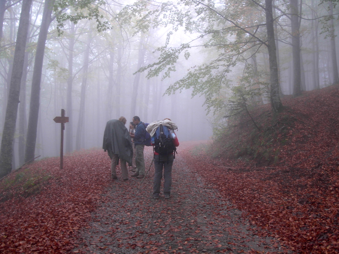 第２４号(1)「90kmの巡礼の旅〜聖なる森林の山道 Il Sentiero delle Foreste Sacre」_f0234936_119957.jpg