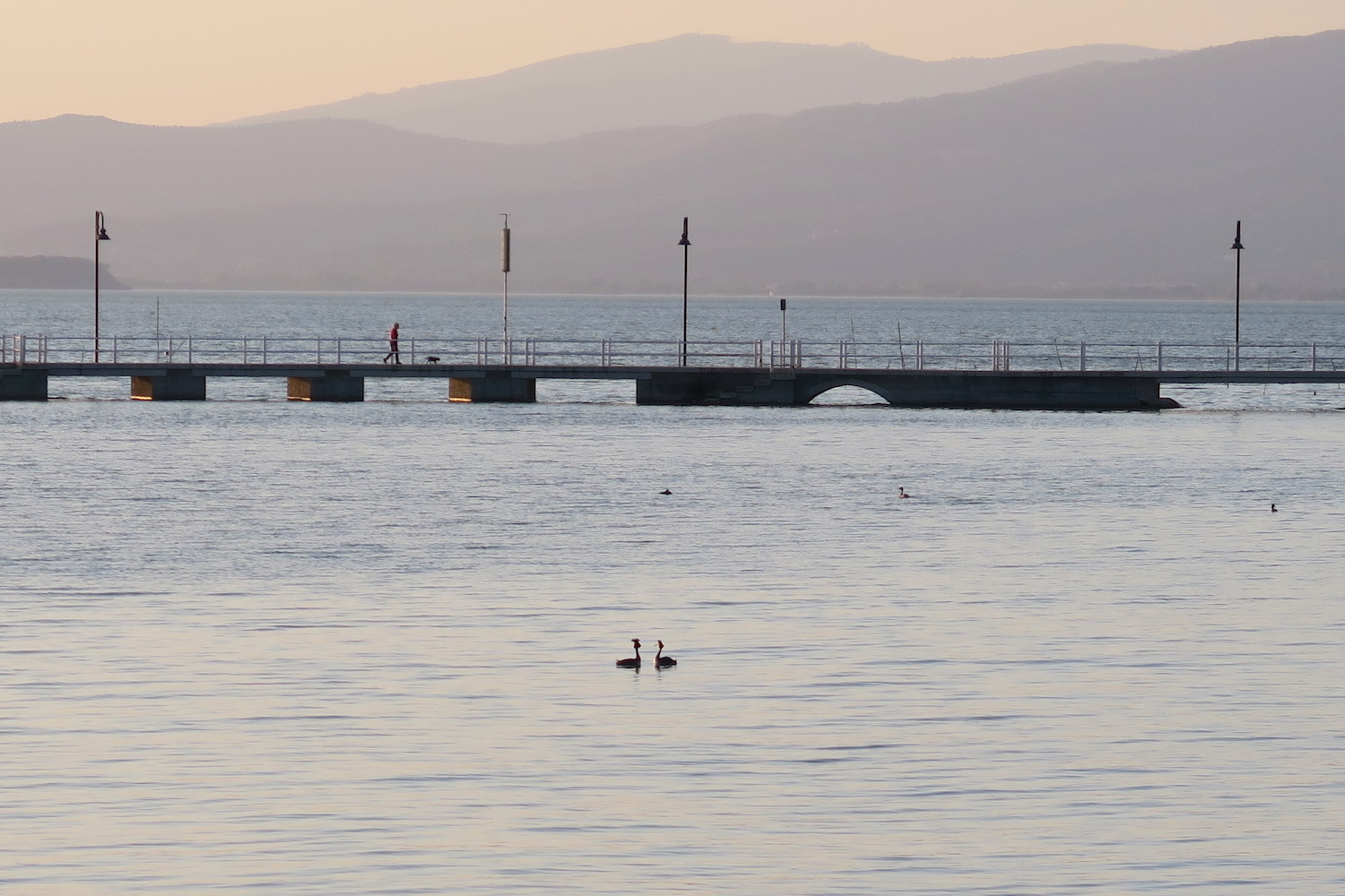 春の島と夕日恋しいトラジメーノ湖、ポルヴェーセ島_f0234936_7534028.jpg