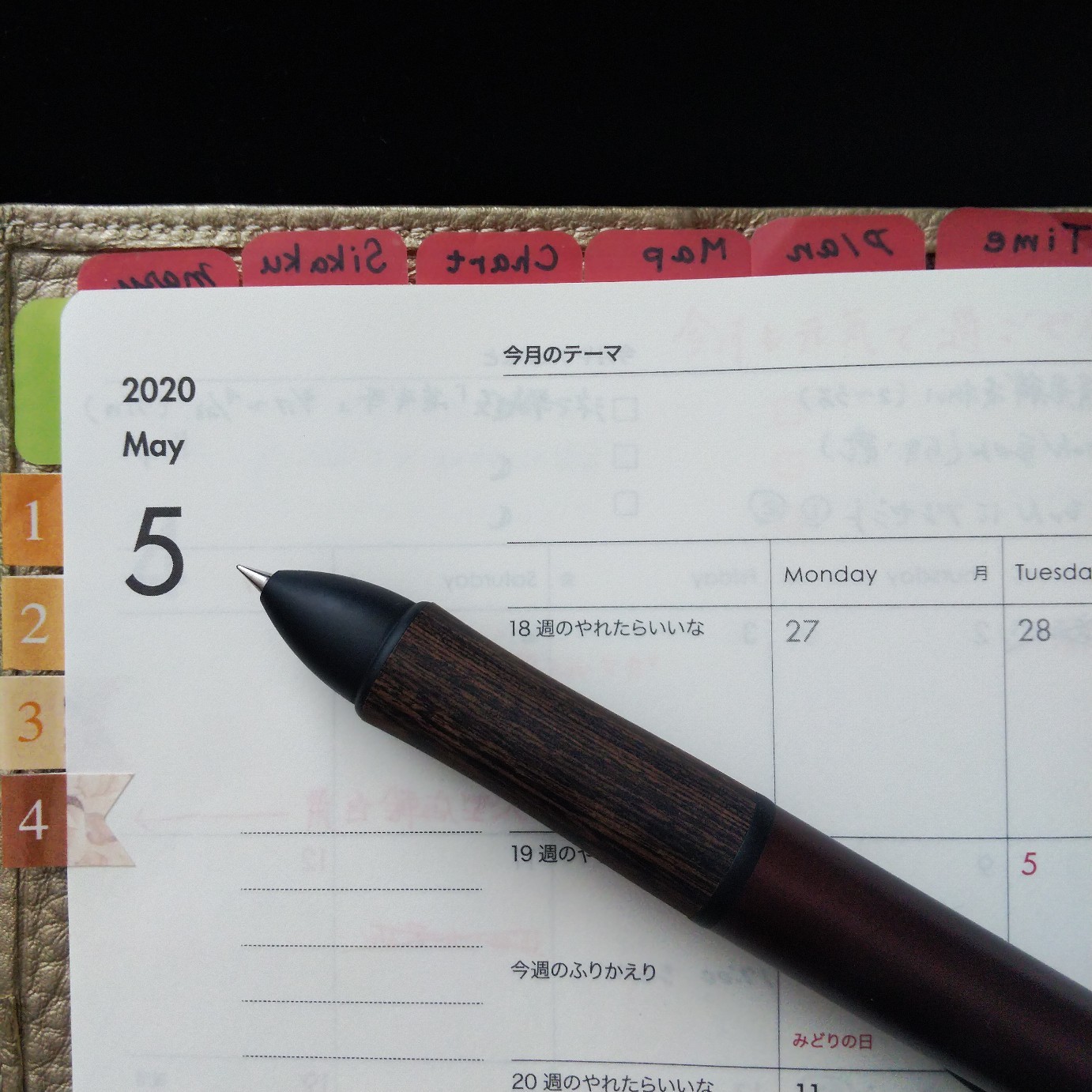 200501 月はじめに「今月のテーマ」を書こう❗_f0164842_15135447.jpg