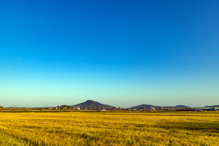 El Dorado(黄金卿)_d0032761_08544985.jpg