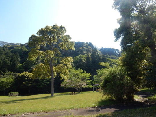 ’20,5,2(土)10万円の使い道!_f0060461_09143068.jpg