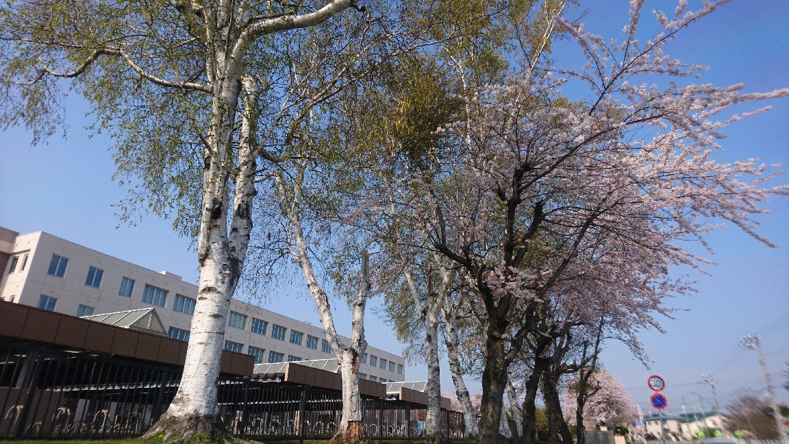 2020年5月2日(土)今朝の函館の天気と気温は。社会貢献団体のNPO法人セラピア。認定NPOを目指しております。寄付のお願い。初めて愛したあなたは今どこで生きていますか映画糸_b0106766_05554344.jpg