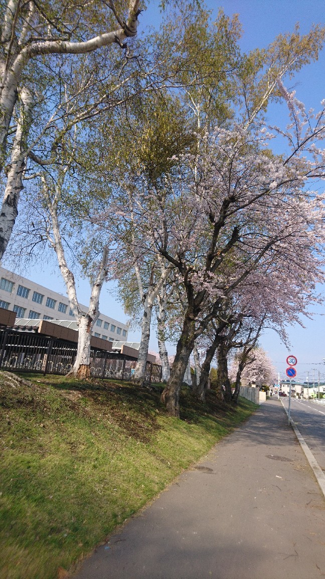 2020年5月2日(土)今朝の函館の天気と気温は。社会貢献団体のNPO法人セラピア。認定NPOを目指しております。寄付のお願い。初めて愛したあなたは今どこで生きていますか映画糸_b0106766_05564456.jpg