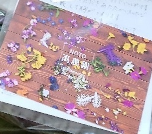 お取り寄せ 能登のお野菜_a0264383_10500742.jpg