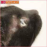 危機一髪?一歩前進?_a0389088_09313573.jpg