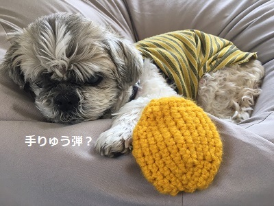 オンライン編み会♪_f0372998_21402756.jpg