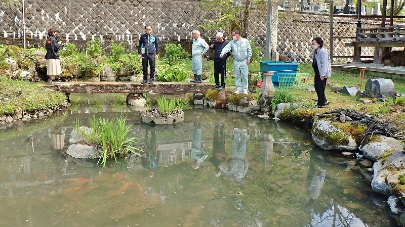池に鯉が戻されました!_c0336902_17143683.jpg