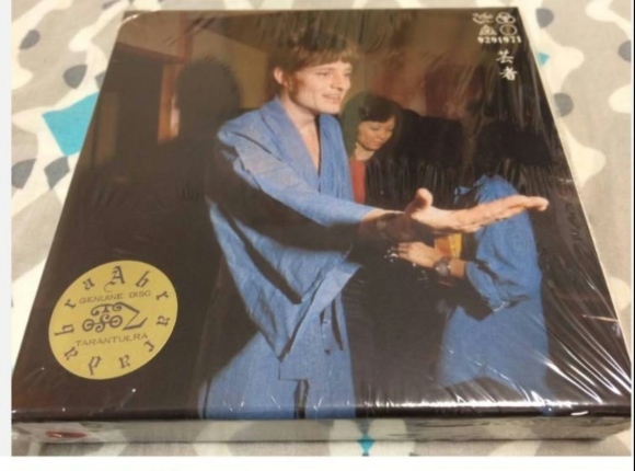 LED ZEPPELIN 929芸者ジャケ_b0042308_16285487.jpg