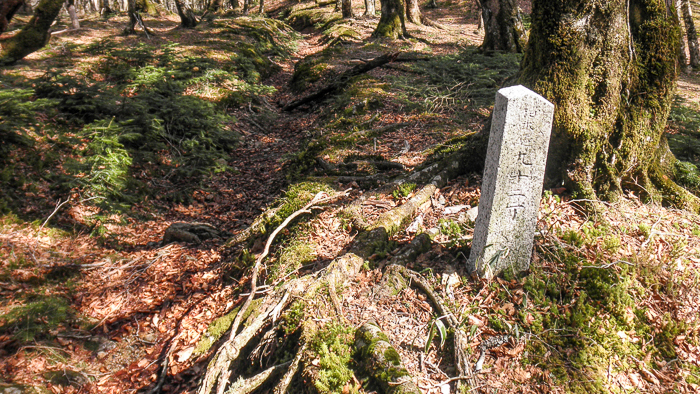 祈りの道をゆく　大峯奥駈道縦走記 1st Day　_b0244811_15312905.jpg