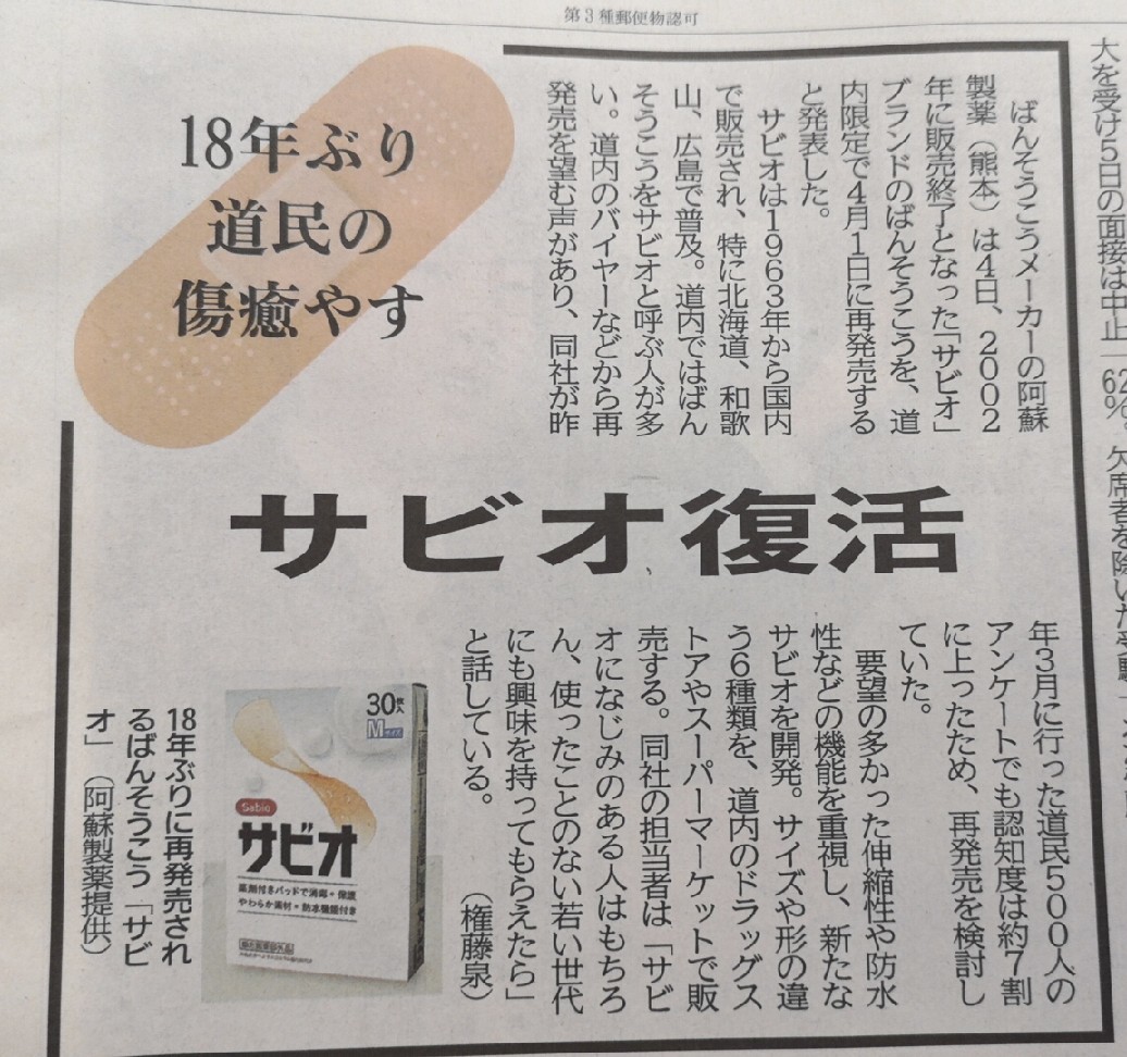 サビオと呼ぶのは道産子の証 札幌で白磁に簡単絵付け Ky S Gallery ポーセラーツ 日記