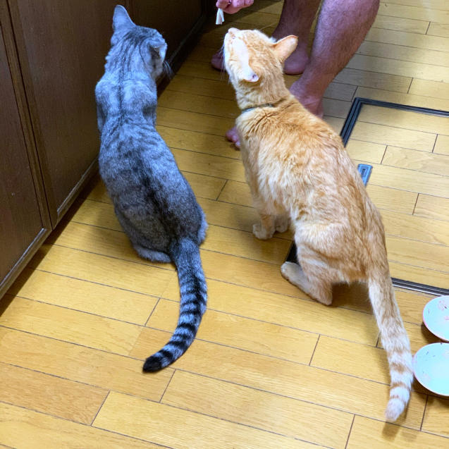 久しぶりのタコパー_d0355333_21390964.jpg