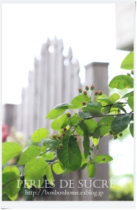 5月はずっと・・・_f0199750_17204558.jpg