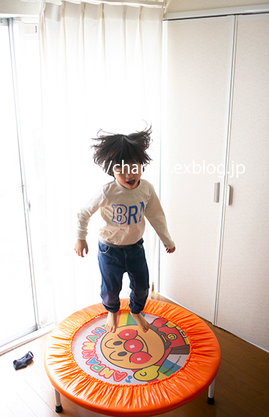 25 迷いに迷って_c0092152_21425924.jpg